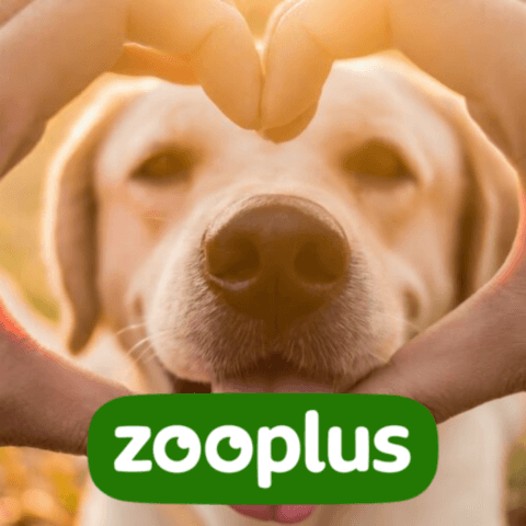 gutscheine zooplus