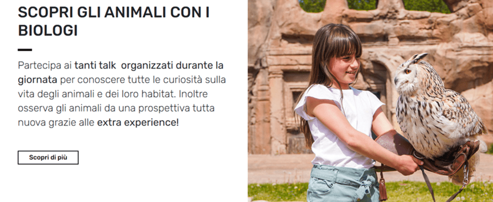 Zoom Torino codice bonus sconto