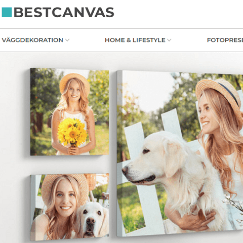 Bestcanvas rabattkod