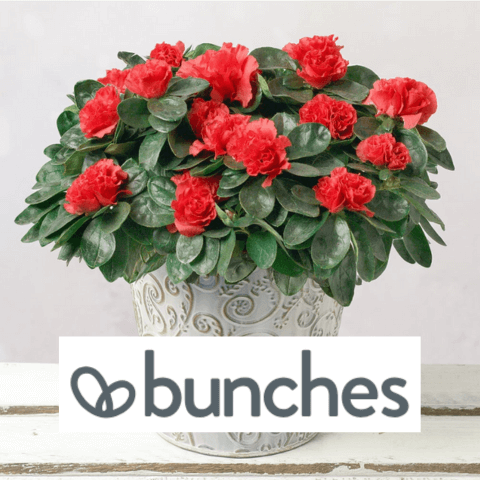 how to save with bunches discount code