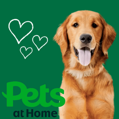 how to save with pets at home discount code