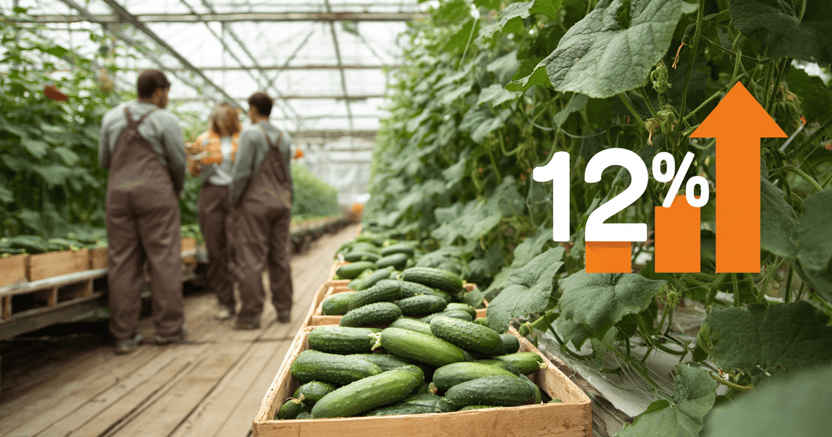 Ціни на огірки в Україні сягнули максимуму за 8 років